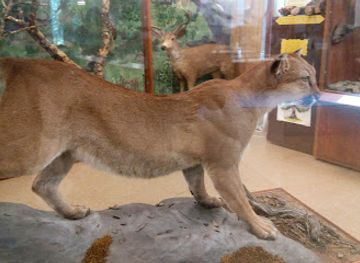 california/napa-valley/attraction/carolyn-parr-nature-center