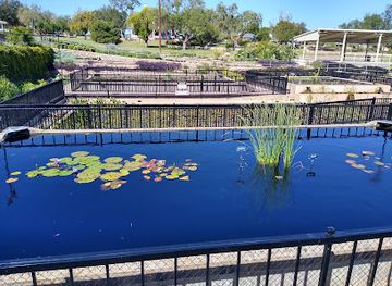 texas/san-angelo/attraction/international-waterlily-collection