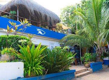 mozambique/maxixe/attraction/diversityscuba