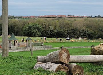 united-kingdom/whitby/attraction/beacon-farm-ice-cream-campsite-tearooms