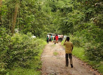 india/northern-plains/attraction/hollongapar-gibbon-sanctuary