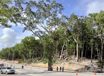 cambodia/preah-sihanouk/attraction/dem-chee-cham-sneh