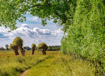 germany/holstein/attraction/dosenmoor
