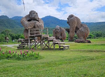 thailand/doi-suthep-pui-national-park/attraction/huai-tueng-thao-sheep-farm