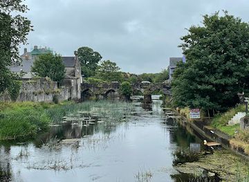 ireland/county-meath/attraction/ireland-s-oldest-bridge