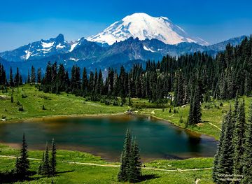 Mount Rainier National Park