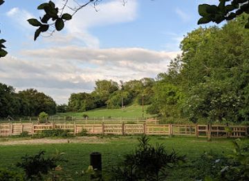 united-kingdom/bedfordshire/attraction/barton-hills-nnr