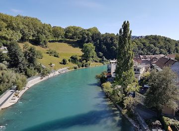 switzerland/emmental/attraction/universitat-bern-botanical-garden