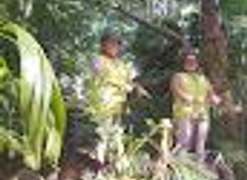 australia/darwin/attraction/darwin-botanic-gardens-playground