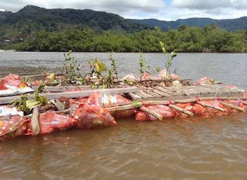 sierra-leone/tacugama-chimpanzee-sanctuary/attraction/transform-island