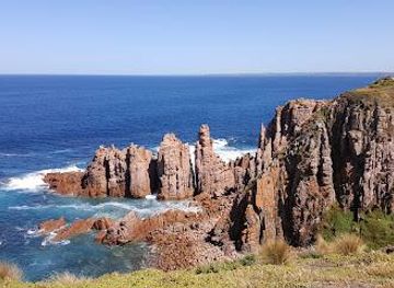 australia/mornington-peninsula/attraction/cape-woolamai-state-faunal-reserve