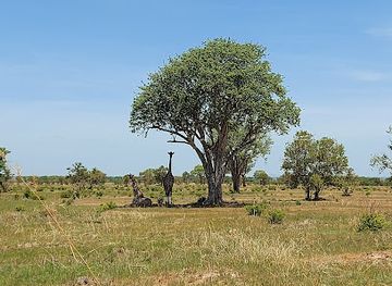 tanzania/mikumi-national-park/attraction/mikumi-maasai-boma-cultural-group