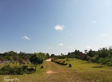 malawi/viphya-mountains/attraction/vitowe-events-garden