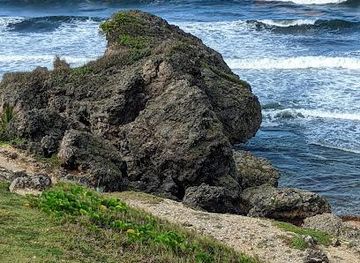 barbados/paynes-bay/attraction/barclays-park