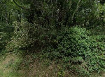 united-kingdom/llandudno/attraction/glan-gloddaeth-woodland-park