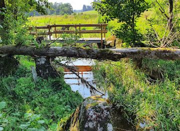 germany/monschau/attraction/hockerlinie-simmerath-westwall-siegfriedlinie