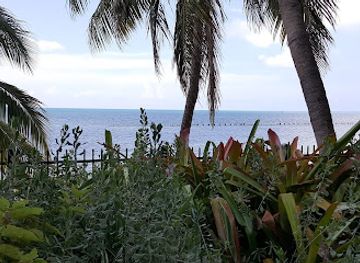 florida/key-west/attraction/indigenous-park