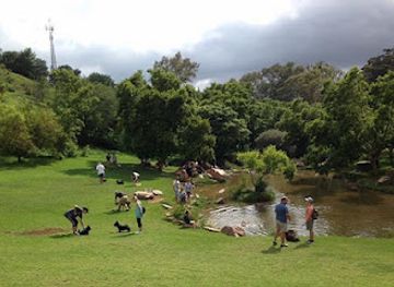 south-africa/pretoria/waterkloof/attraction/waterkloof-dog-park