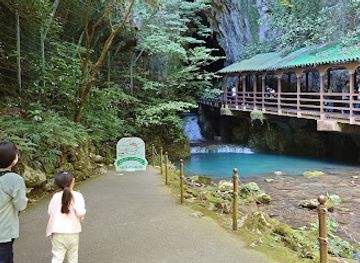 japan/chugoku/attraction/akiyoshido-cave