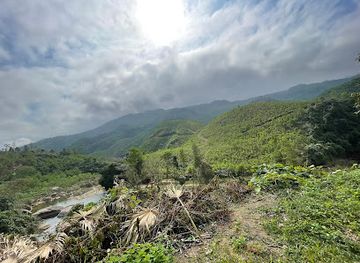 vietnam/central-highlands/attraction/hoa-phu-thanh-tourist-area