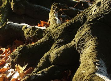 poland/gdansk/wrzeszcz/attraction/grzbiet-ksiazecy