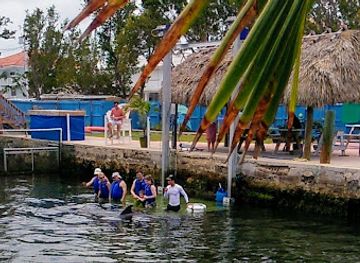 florida/florida-keys/attraction/dolphins-plus-marine-mammal-responder