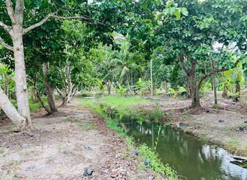 thailand/surat-thani/attraction/suan-kra-thon-yut-than-na