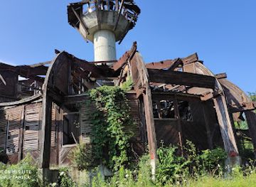 croatia/podravina/attraction/arboretum-lisicine