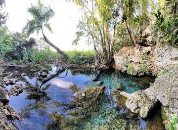 puerto-rico/dorado/attraction/manantial-de-guayaney