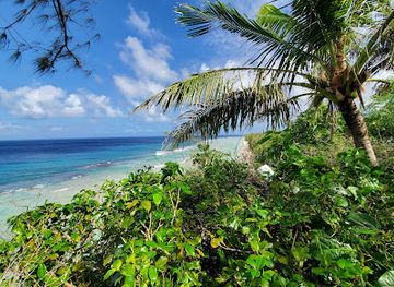 guam/tamuning-beach/attraction/guam-star-sand-jungle-adventure