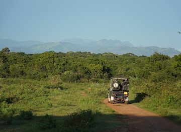 sri-lanka/udawalawe-national-park/attraction/udawalawe-safari