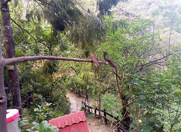 colombia/cocora-valley/attraction/casa-de-los-colibries-del-valle-de-cocora