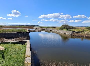 denmark/limfjord/attraction/gammel-havn