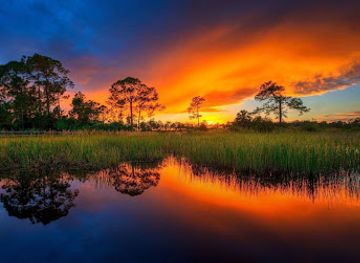 florida/nature-coast/attraction/nature-coast-eco-tours