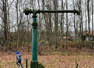 poland/białowieża-forest/attraction/bialowieskie-drezyny-rowerowe-polskie-naukowe-towarzystwo-kolejowo-techniczne