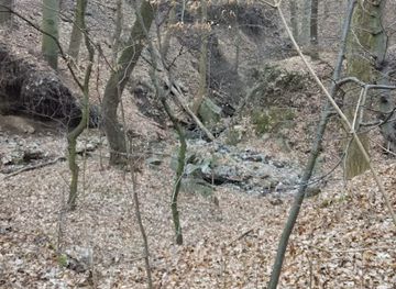 czechia/moravia/attraction/kohoutovice-brook-valley