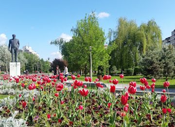 romania/baia-mare/attraction/mara-park