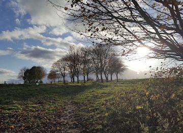 united-kingdom/durham/attraction/aykley-wood-nature-reserve