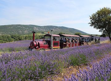 france/ardèche-gorges/attraction/maison-de-la-lavande