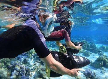 french-polynesia/papeete/attraction/moorea-water-games