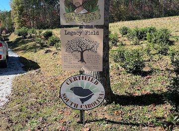 south-carolina/table-rock-state-park/attraction/table-rock-tea-company