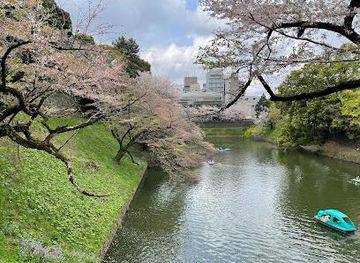 japan/tokyo/attraction/chidorigafuchi-park