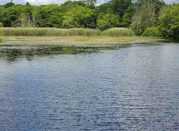 rhode-island/burlingame-state-park/attraction/grills-preserve