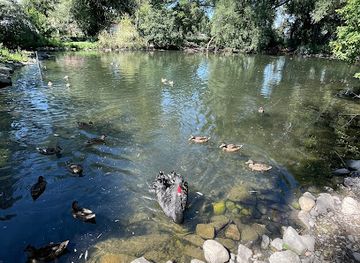 idaho/treasure-valley/attraction/zootah