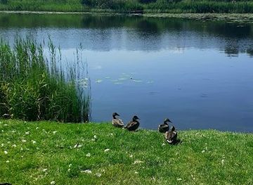 ireland/county-cavan/attraction/lake-view-carpark