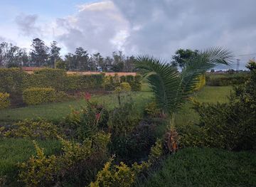 malawi/mzuzu/attraction/oledith-park