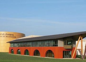 france/dijon/attraction/veuve-ambal-circuit-visite-boutique