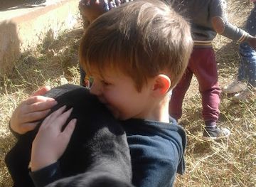 eswatini/piggs-peak/attraction/graystone-eco-park