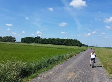 poland/gliwice/attraction/rezerwat-przyrody-las-dabrowa-w-gliwicach