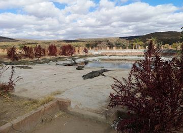 south-africa/waterberg/attraction/molekwa-crocodile-farm-enterprise
